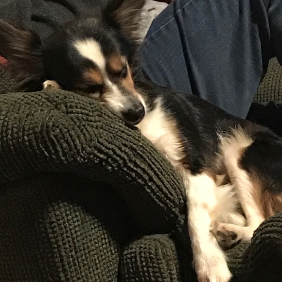 Meet your Posher, Kerry - Picture 3 of 12